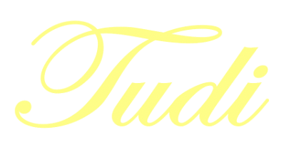 TUDI